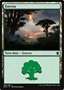 Foresta