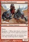 Signore dei Segugi Ronin