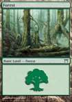 Foresta