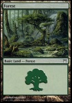 Foresta