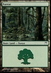 Foresta