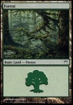 Foresta