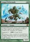 Behemoth Fungino