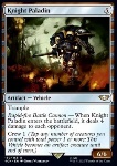 Knight Paladin