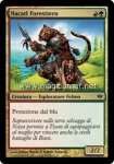 Nacatl Forestiero