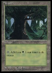 Foresta