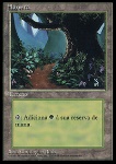 Foresta