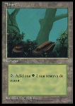 Foresta