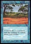 Terreno Illusorio