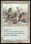 Lupi della Tundra