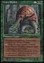 Thorn Thallid