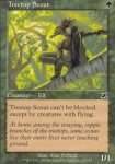 Scout Arboricolo