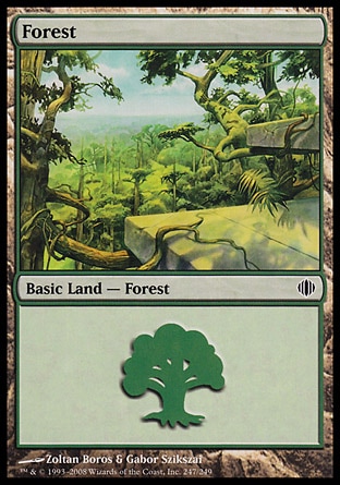 /prodotti/1/53/Forest.jpg