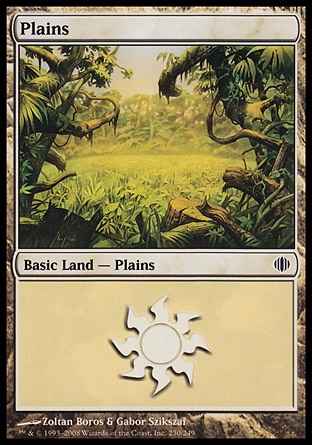 /prodotti/1/53/Plains.jpg
