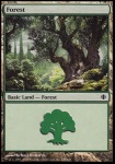 Foresta (V.4)