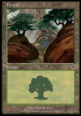/prodotti/1/55/Forest2.jpg