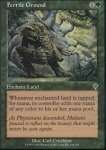 Terreno Fertile