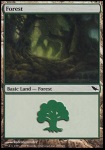 Foresta (V.2)