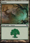 Foresta (V.3)