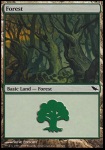 Foresta (V.4)