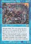 Granchio Gusciocromato