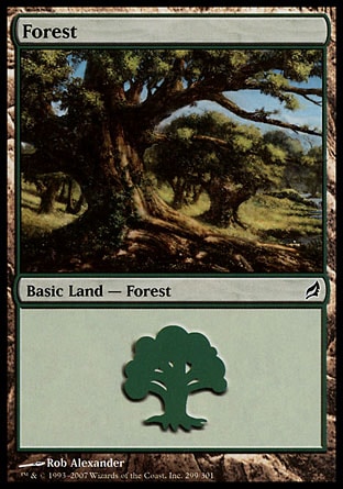 /prodotti/1/60/FOrest.jpg
