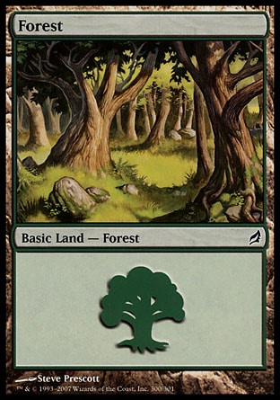 /prodotti/1/60/FOrest2.jpg
