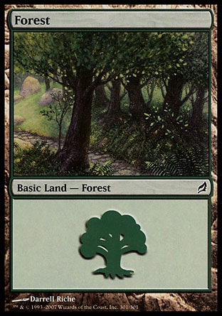 /prodotti/1/60/FOrest3.jpg