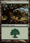 Foresta