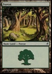 Foresta