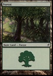 Foresta
