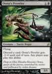 Predatore di Oona