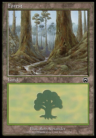 /prodotti/1/61/Forest2.jpg