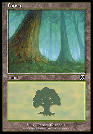 /prodotti/1/61/Forest4.jpg