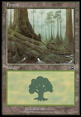 Foresta (V.2)