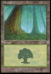 Foresta (V.1)