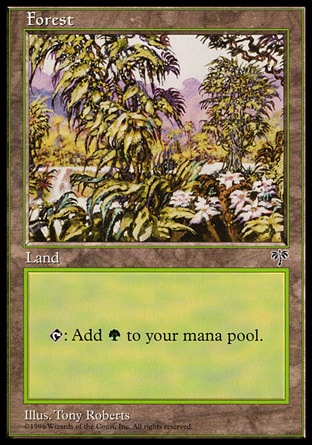 /prodotti/1/62/Forest2.jpg