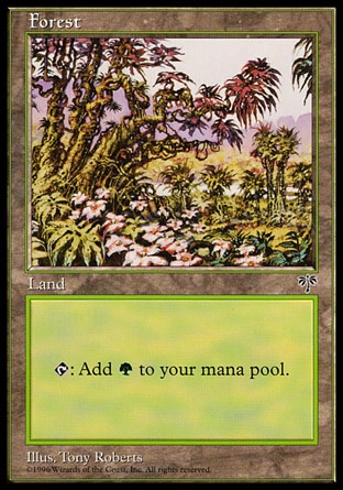 /prodotti/1/62/Forest3.jpg
