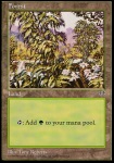 Foresta (V.3)