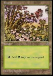 Foresta (V.4)