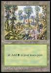 Foresta (V.1)