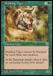 Tigre in Agguato