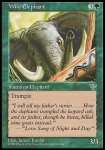 Elefante Selvaggio