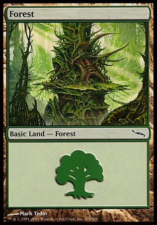 /prodotti/1/63/Forest.jpg