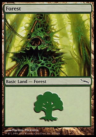 /prodotti/1/63/Forest2.jpg