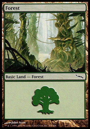 /prodotti/1/63/Forest3.jpg