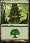 Foresta