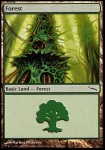 Foresta
