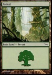 Foresta
