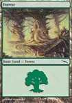 Foresta